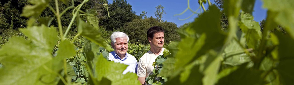 Chateau Le Puy Chateau Le Puy