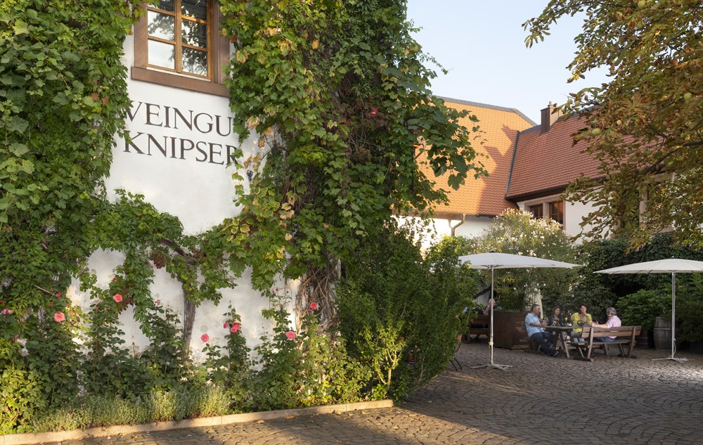 Best Wineries in Germany