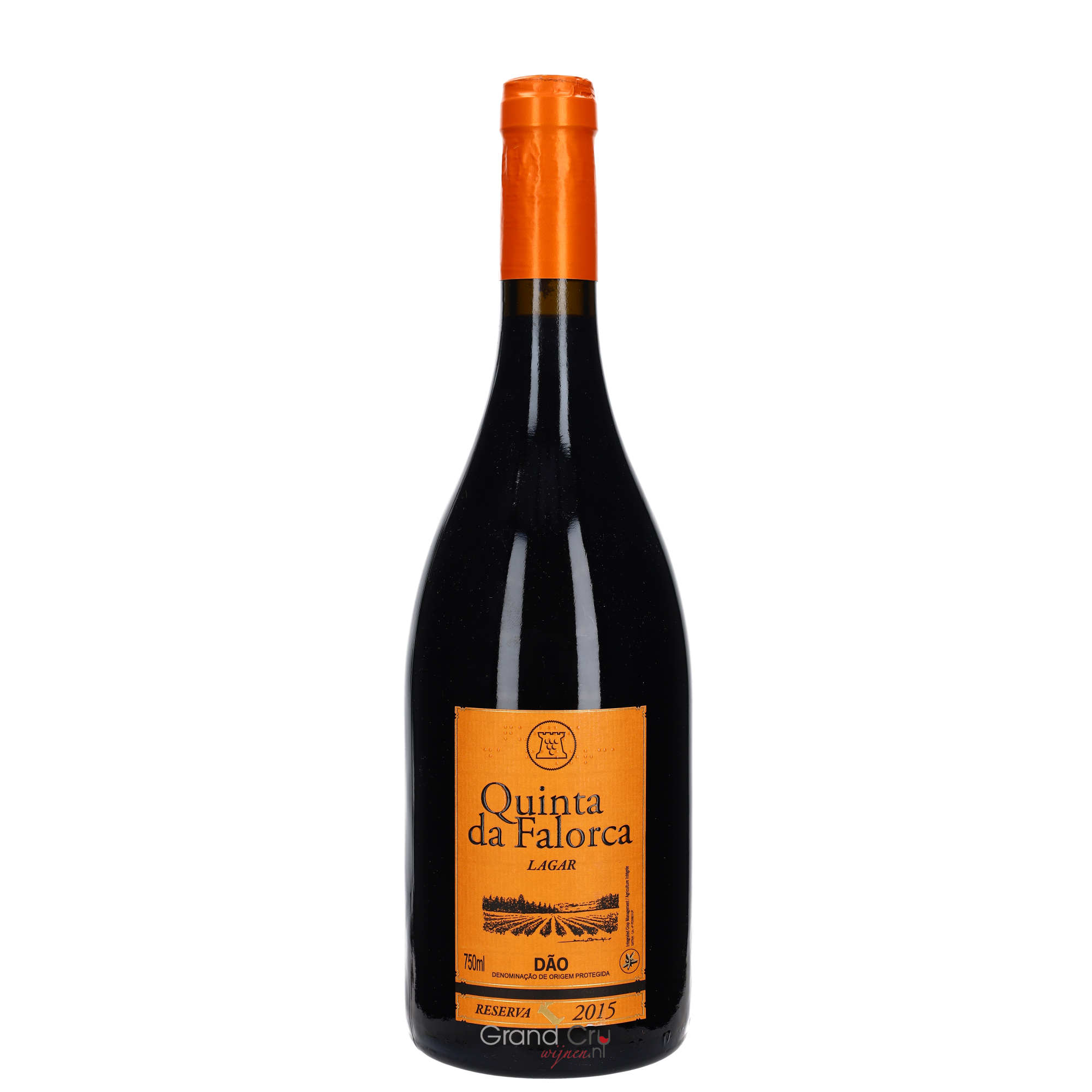 Wine 1