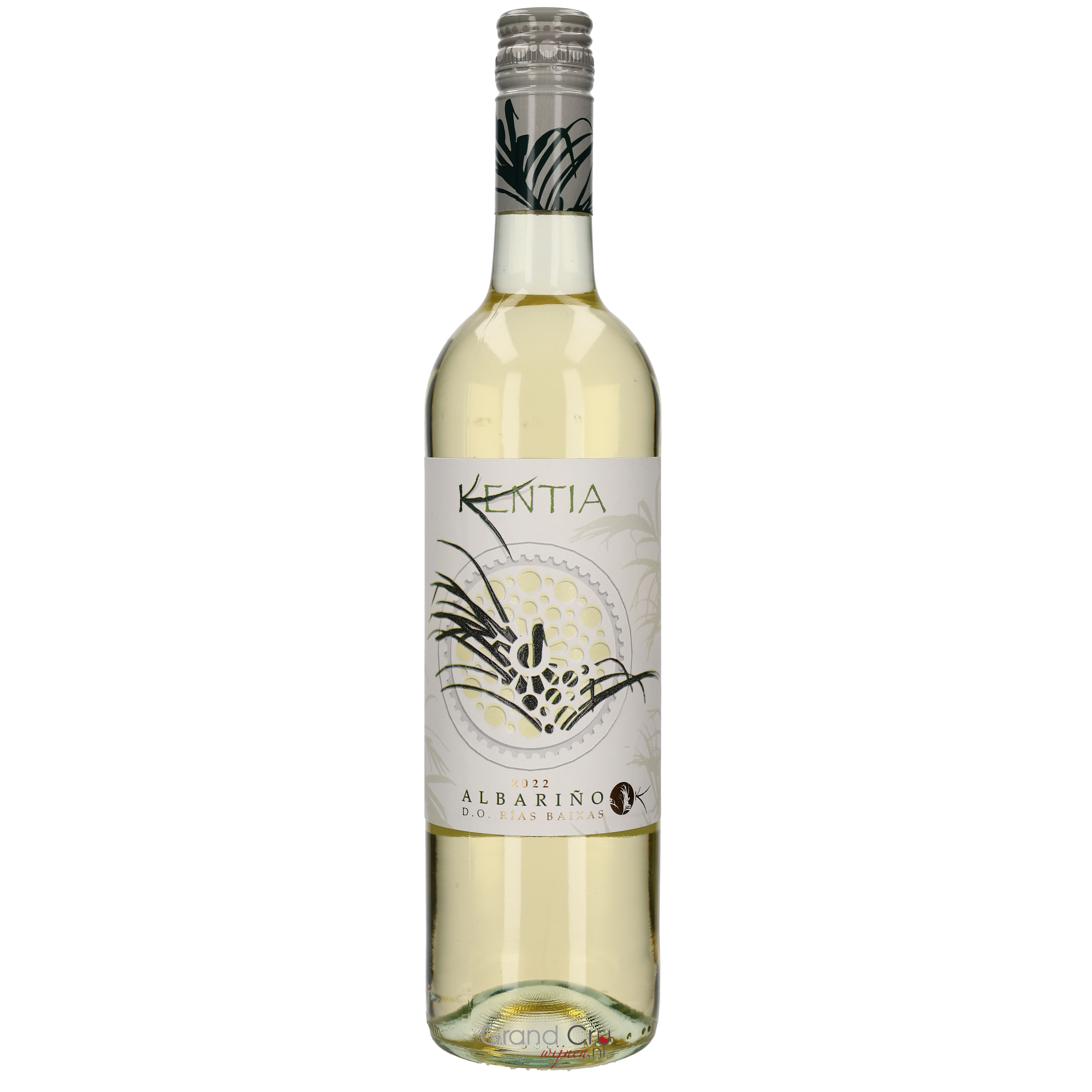Wine 1