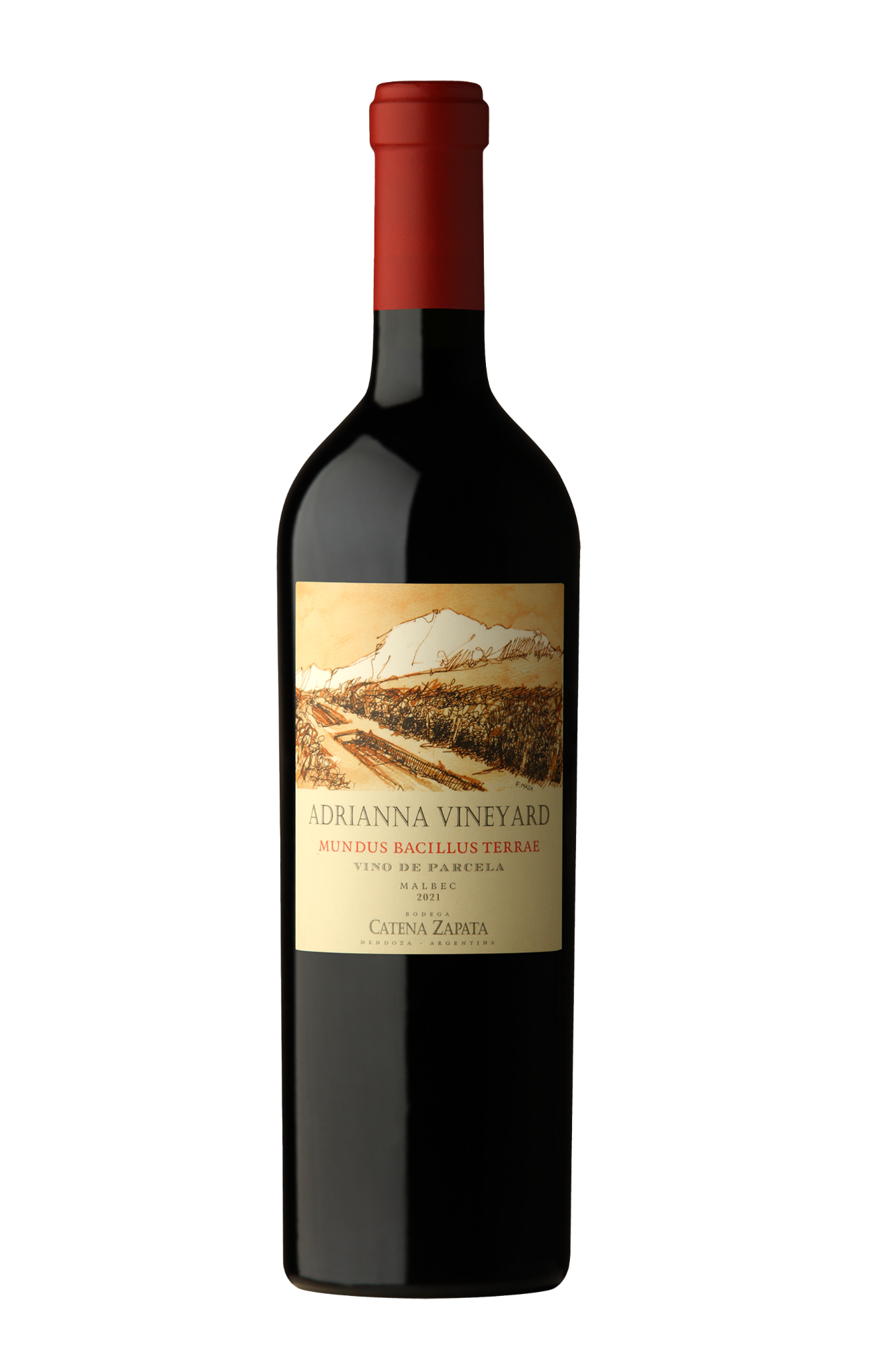 Wine 3