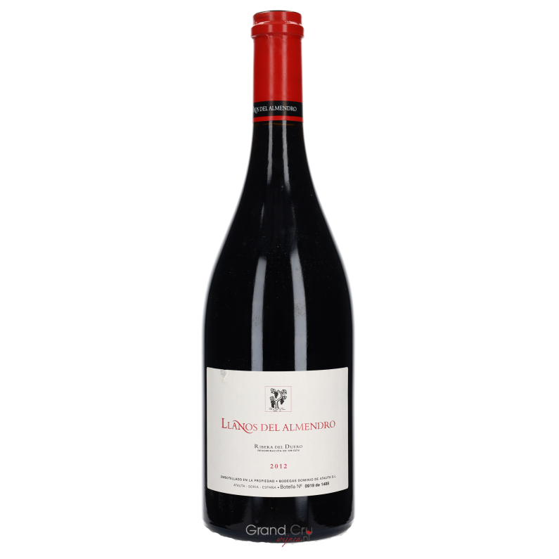 2012 Dominio de Atauta Llanos del Almendro