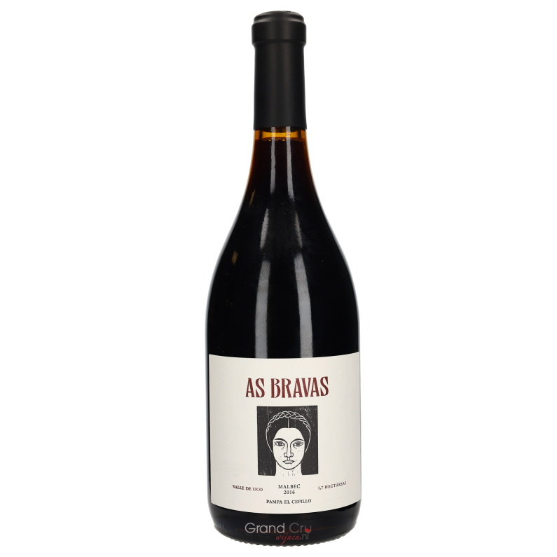 2016 El Enemigo As Bravas Pampa El Cepillo Malbec