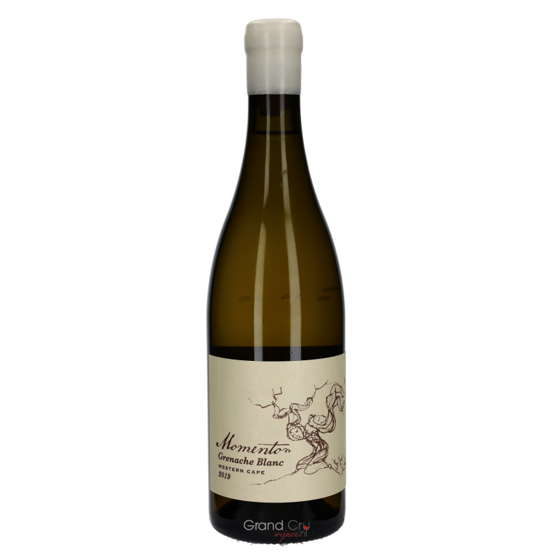 2019 Momento Grenache Blanc