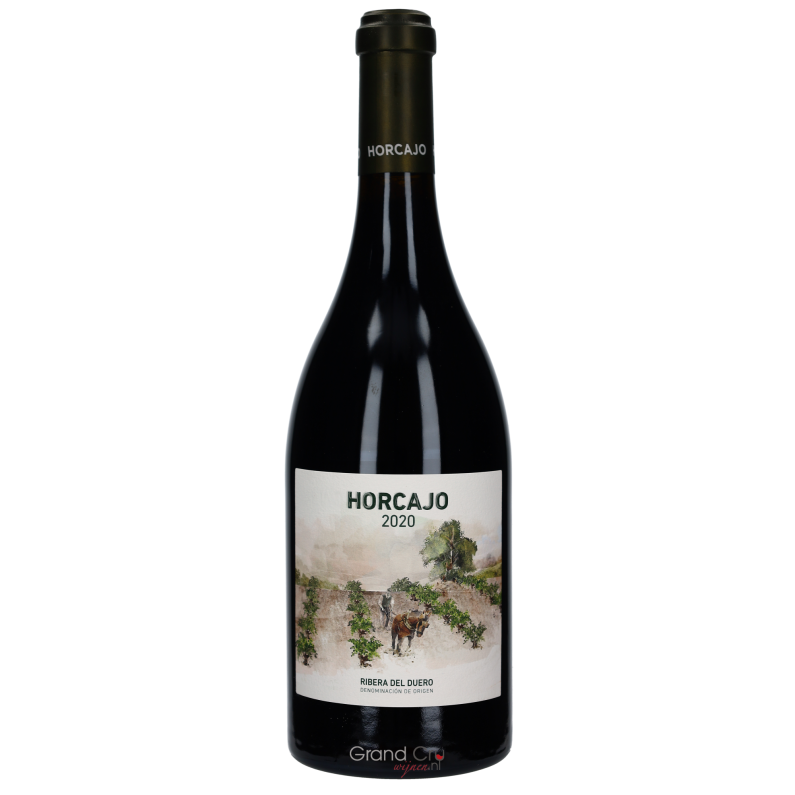 2020 CEPA 21 Horcajo