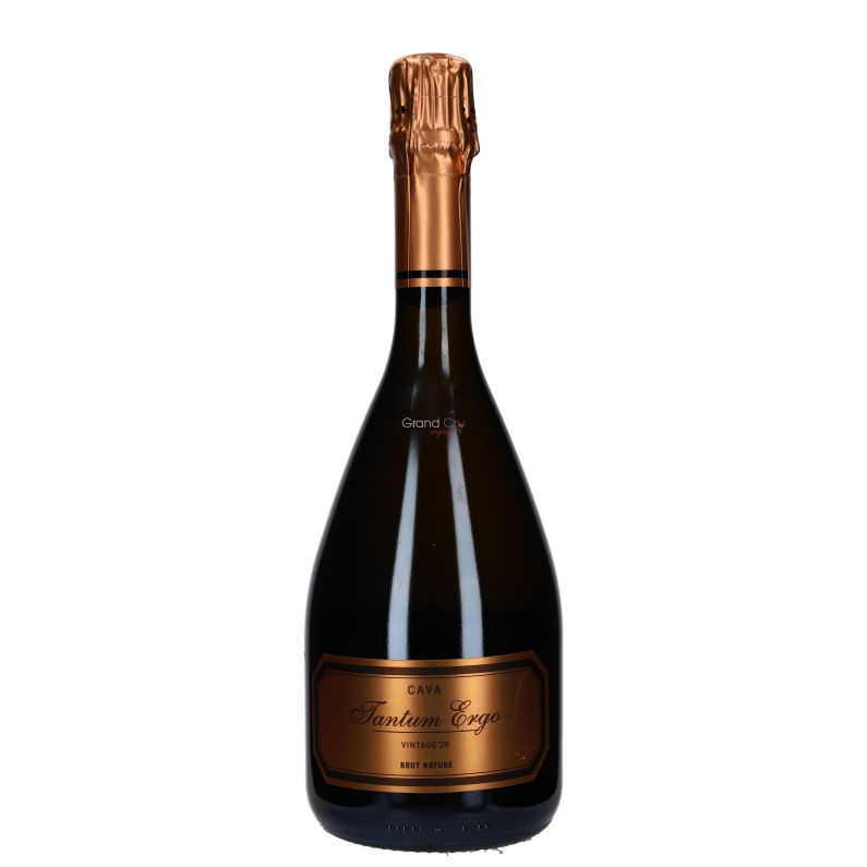 2020 Hispano Suizas Tantum Ergo Vintage Brut Nature 