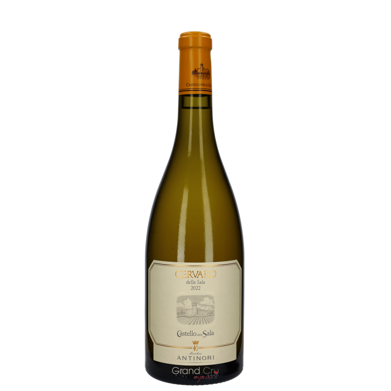 2022 Antinori Cervaro della Sala