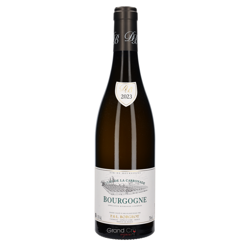2023 Domaine Borgeot Bourgogne Blanc