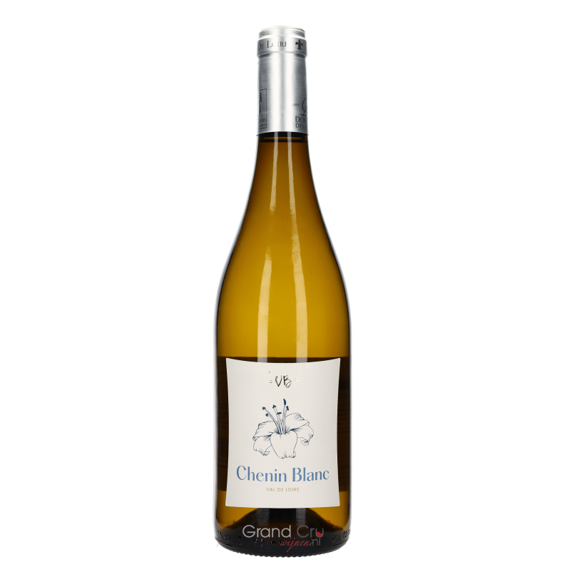 2023 Domaine des Forges Chenin Blanc