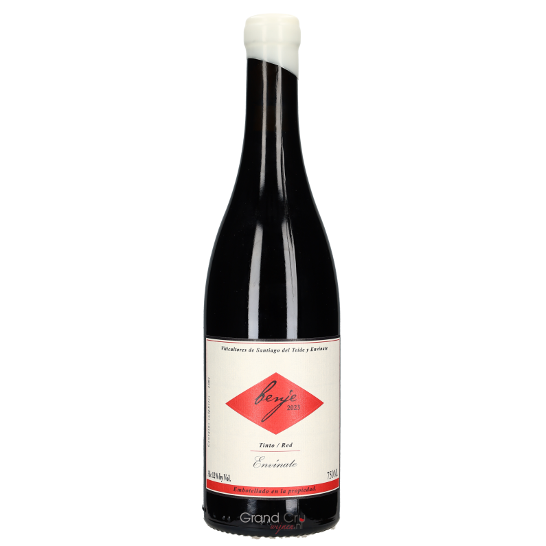 2023 Envinate Benje Tinto