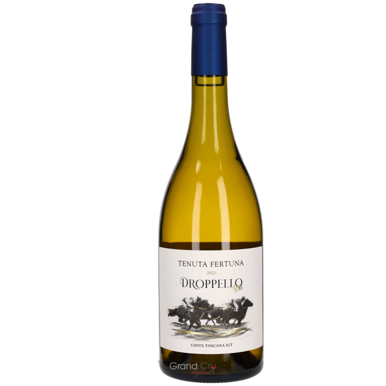 2023 Fertuna Droppello Alta Bianco Costa Toscane