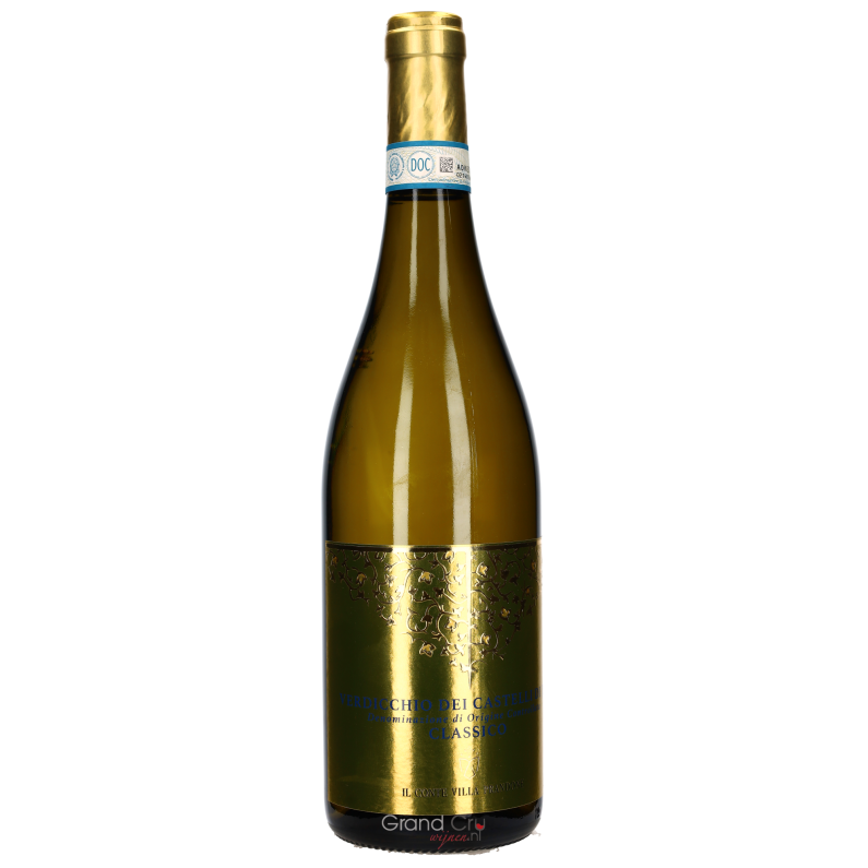 2023 Il Conte Villa Prandone Verdicchio dei Castelli di Jesi DOC
