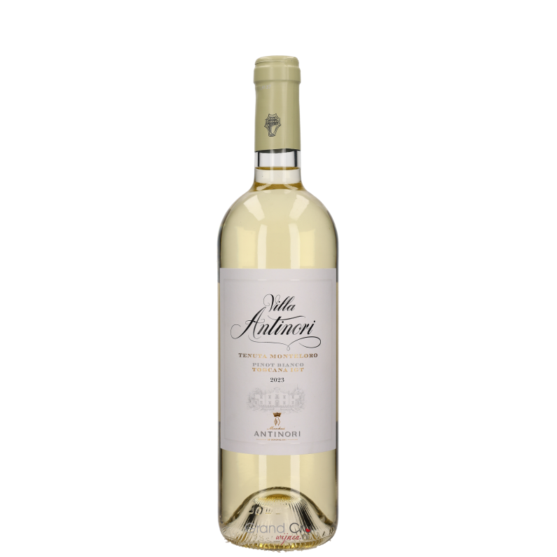 2023 Tenuta Monteloro Villa Antinori Pinot Bianco