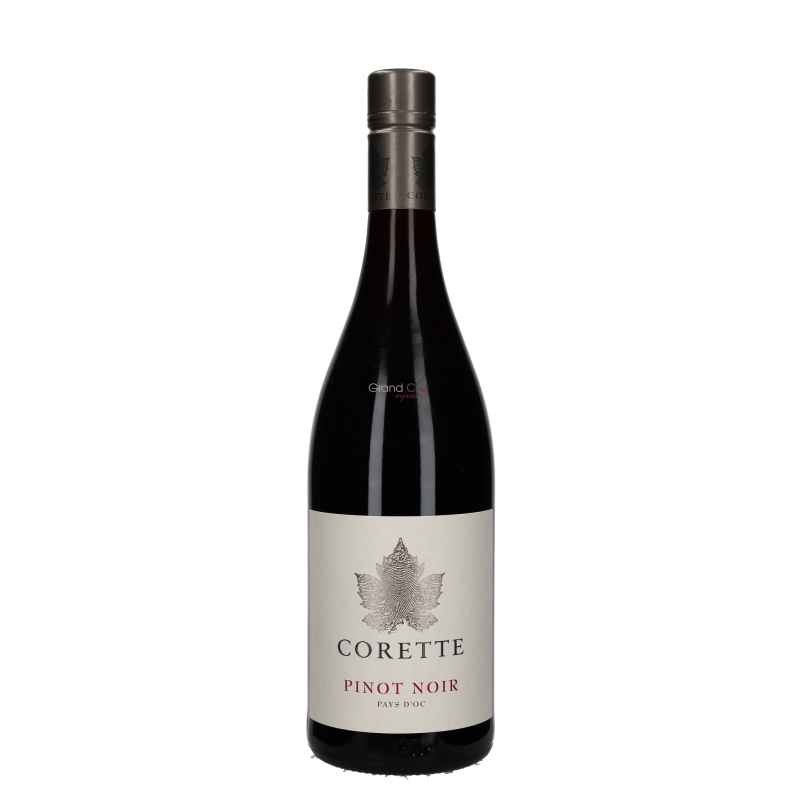 2024 Corette Pinot Noir
