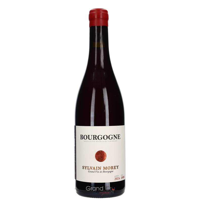 2024 Domaine Sylvain Morey Bourgogne Rouge