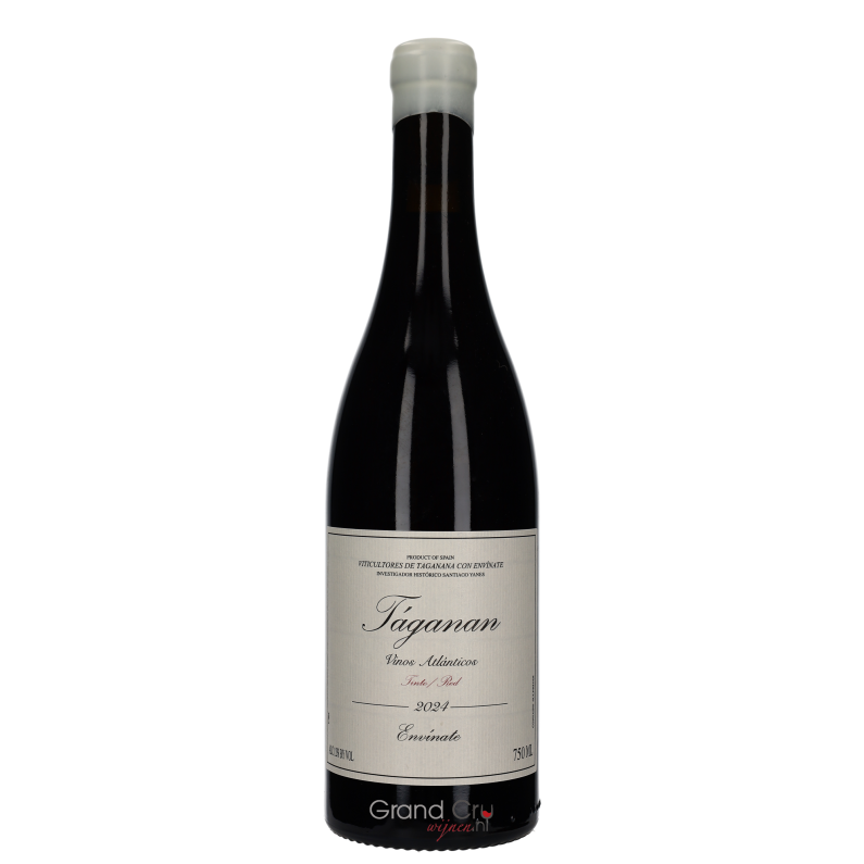 2024 Envinate Taganan Tinto