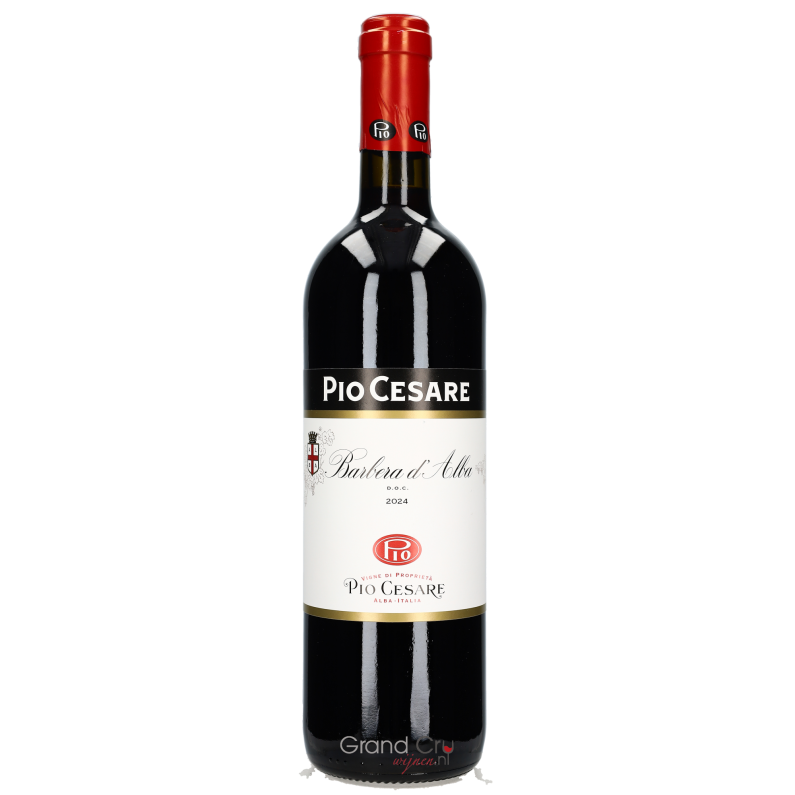 2024 Pio Cesare Barbera d'Alba
