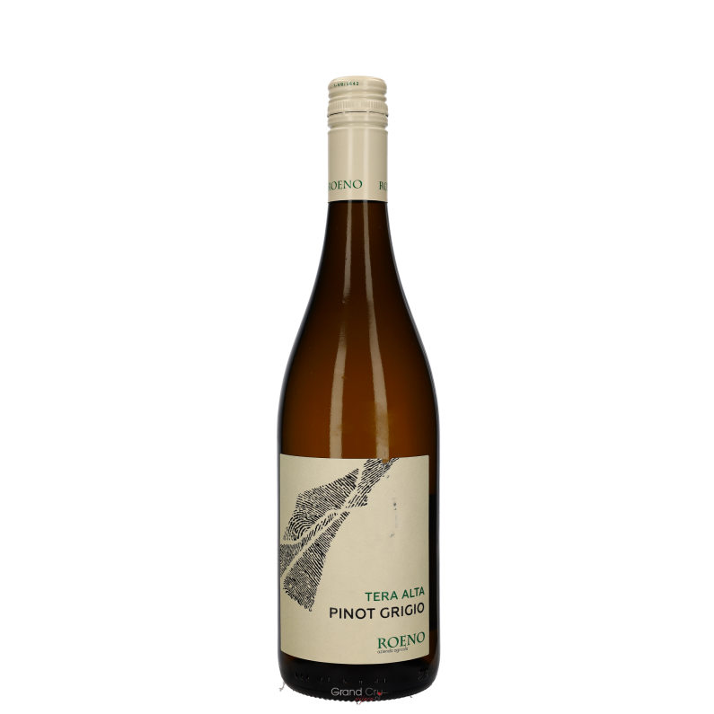 2024 Roeno Pinot Grigio Tera Alta
