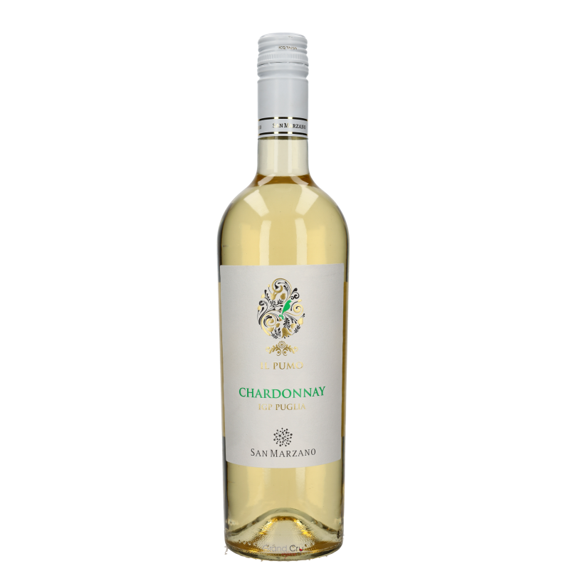 2024 San Marzano Il Pumo Chardonnay