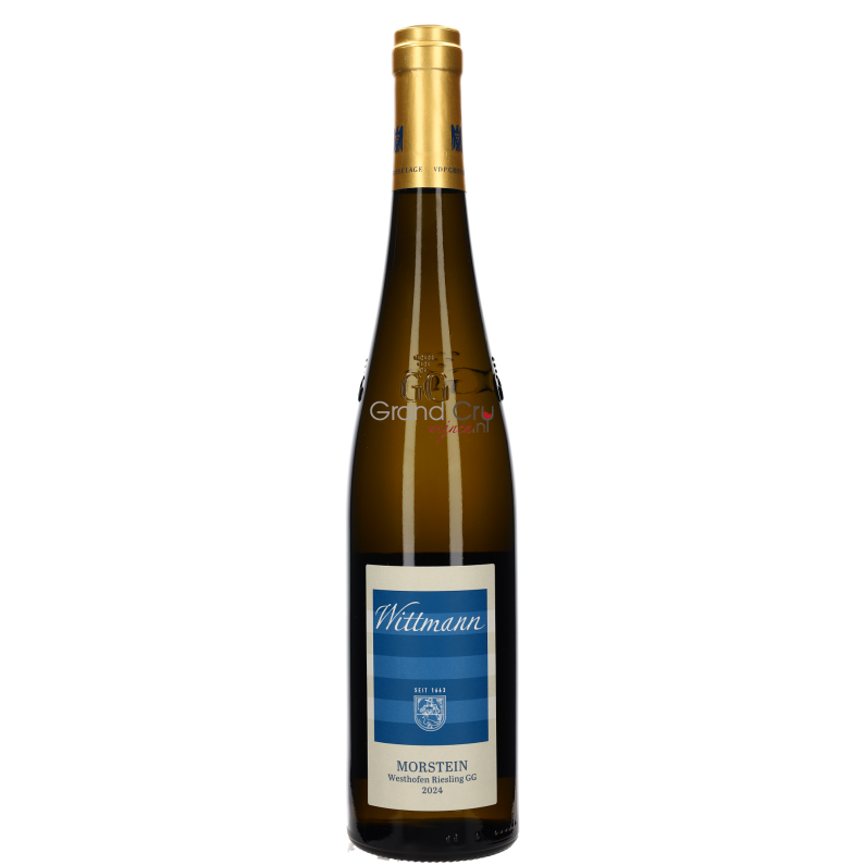 2024 Weingut Wittmann Morstein Riesling Grosses Gewächs BIO