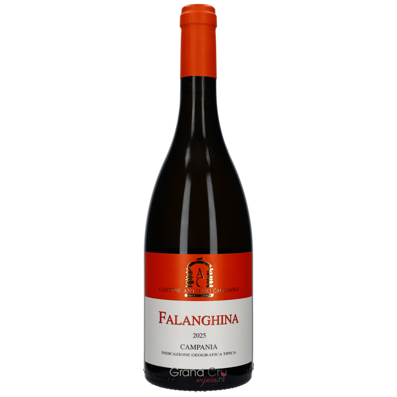 2025 Antonio Caggiano Falanghina Campania