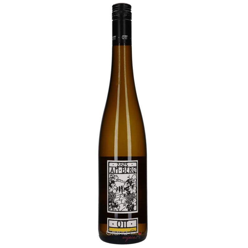 2025 Bernhard Ott Grüner Veltliner Am Berg BIO