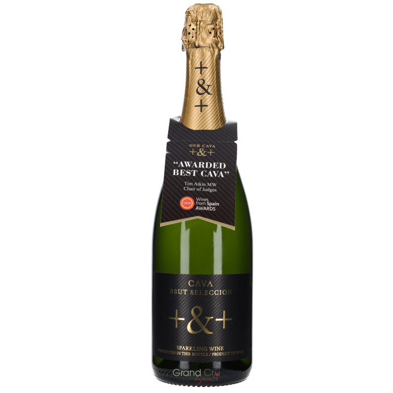 Cava Pinord +&+ Brut Selección