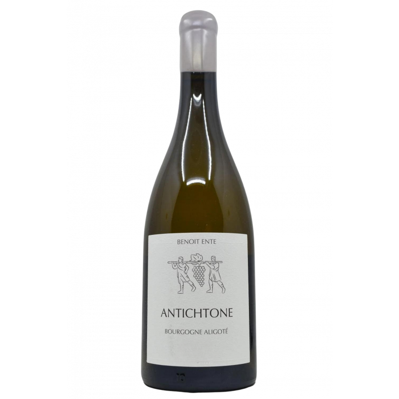 2020 Benoit Ente Bourgogne Aligoté Antichtone 2020\u0020Benoit\u0020Ente\u0020Bourgogne\u0020Aligot\u00E9\u0020Antichtone