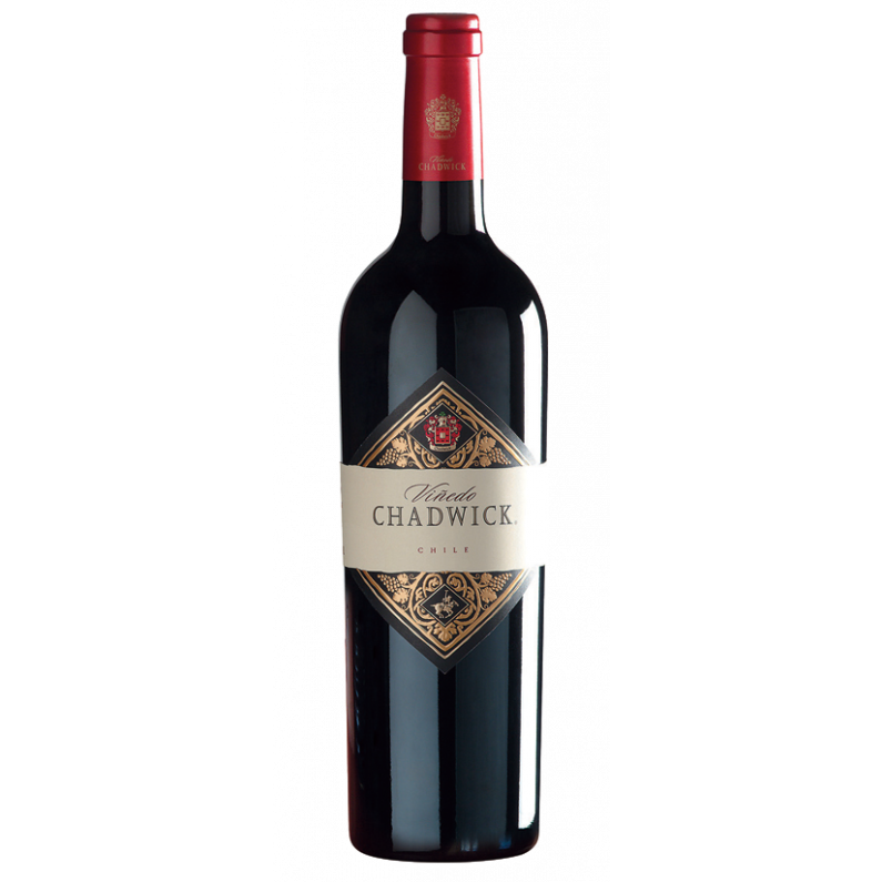2013 Errazuriz Vinedo Chadwick