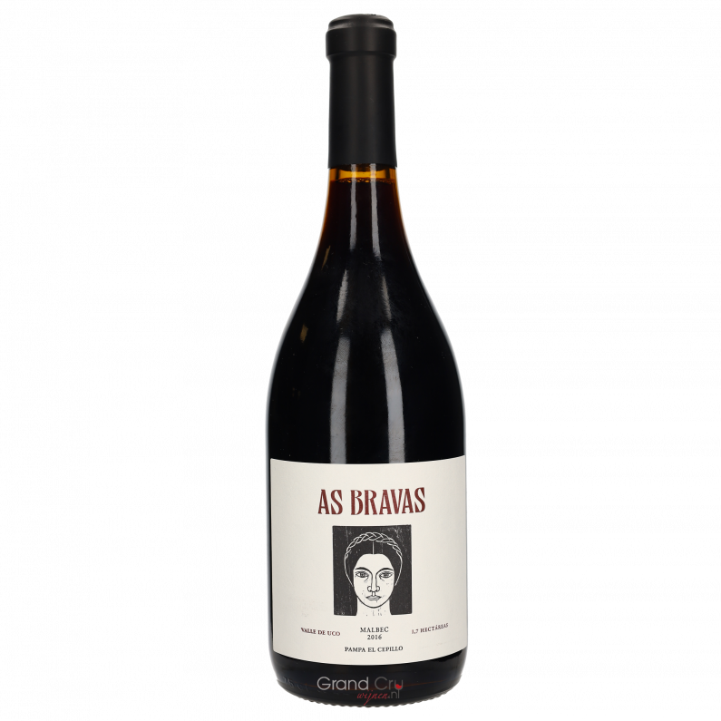 2016 El Enemigo As Bravas Pampa El Cepillo Malbec