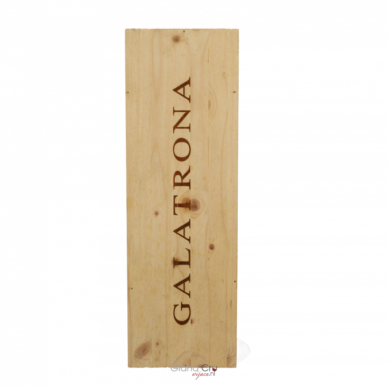 2017 Petrolo Galatrona Magnum