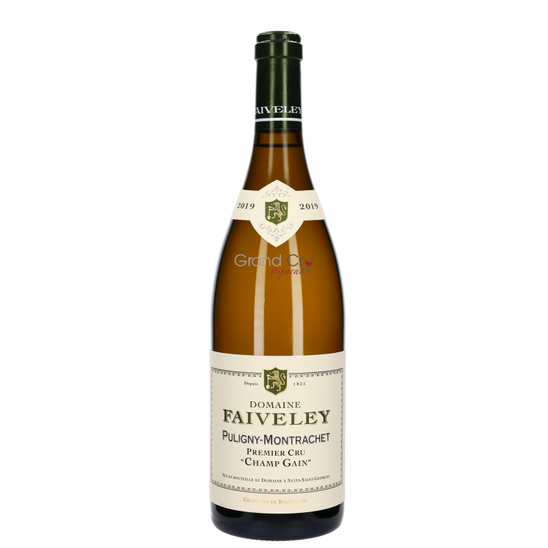 2019 Faiveley Puligny-Montrachet 1er Cru Champs Gain