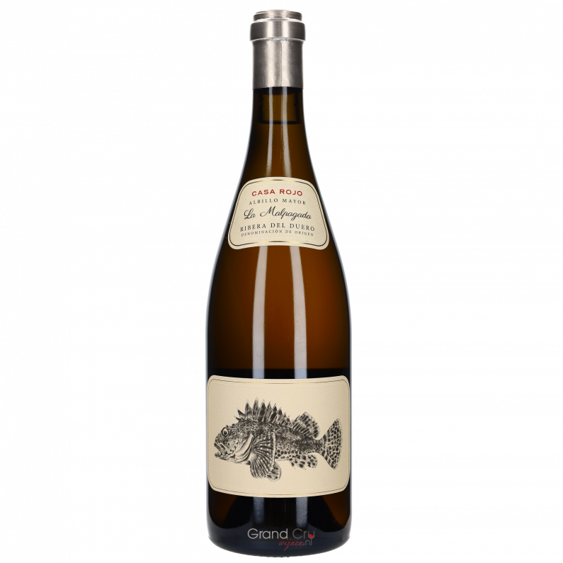 2021 Casa Rojo Tokyo Gomez-Rojo La Malpagada