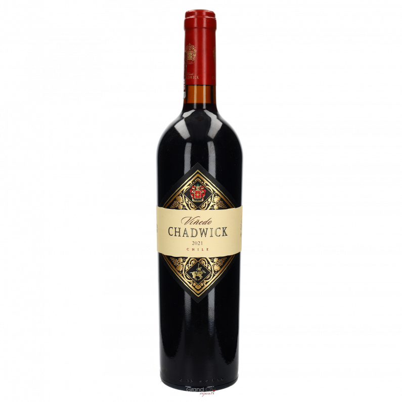 2021 Vinedo Chadwick