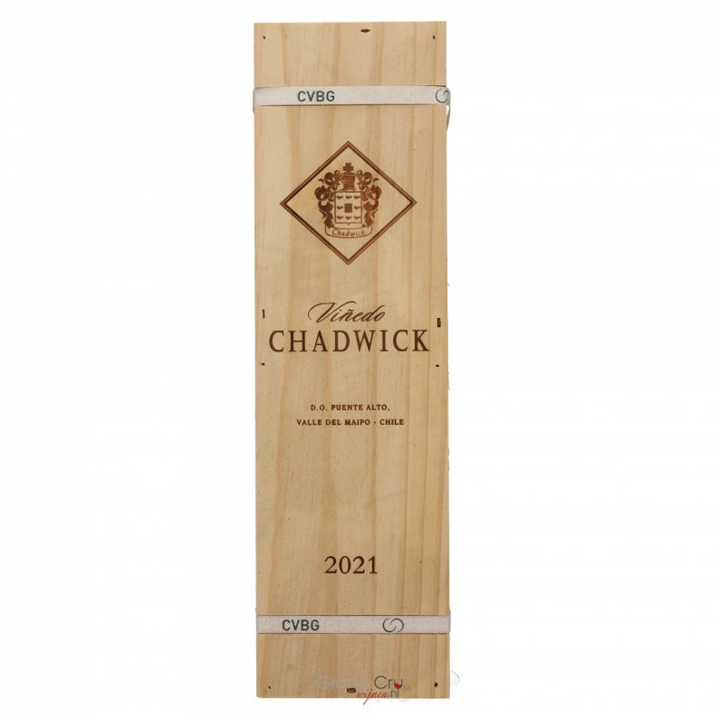 2021 Vinedo Chadwick Magnum