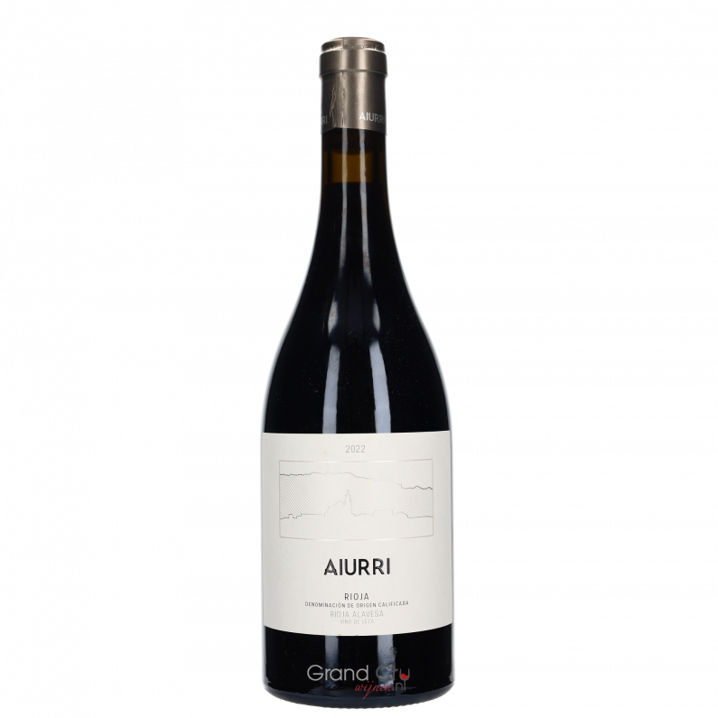 2022 Aiurri Tinto