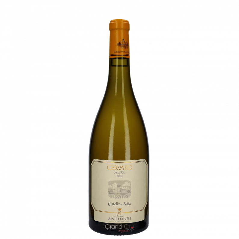 2022 Antinori Cervaro della Sala