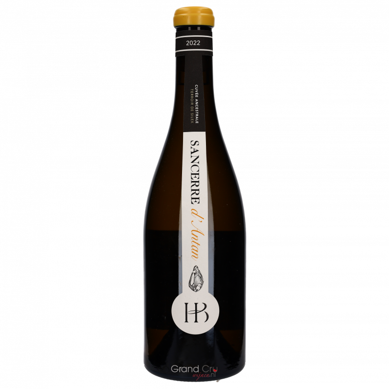 2022 Domaine Henri Bourgeois Sancerre D'Antan