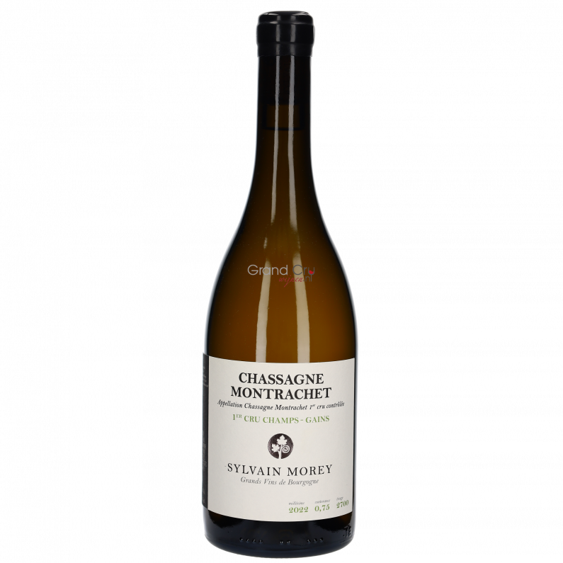 2022 Domaine Sylvain Morey Chassagne-Montrachet 1er Cru Champs-Gains Blanc