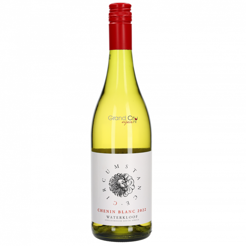 2022 Waterkloof Circumstance Chenin Blanc