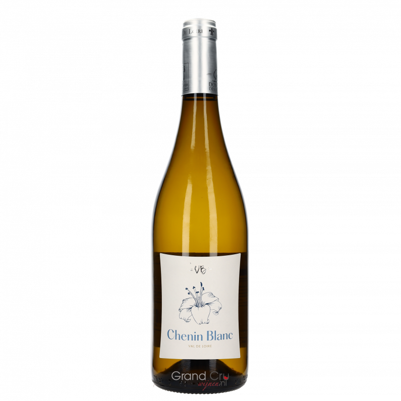 2023 Domaine des Forges Chenin Blanc