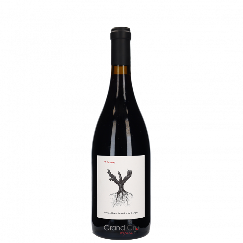 2023 Dominio de Pingus PSI