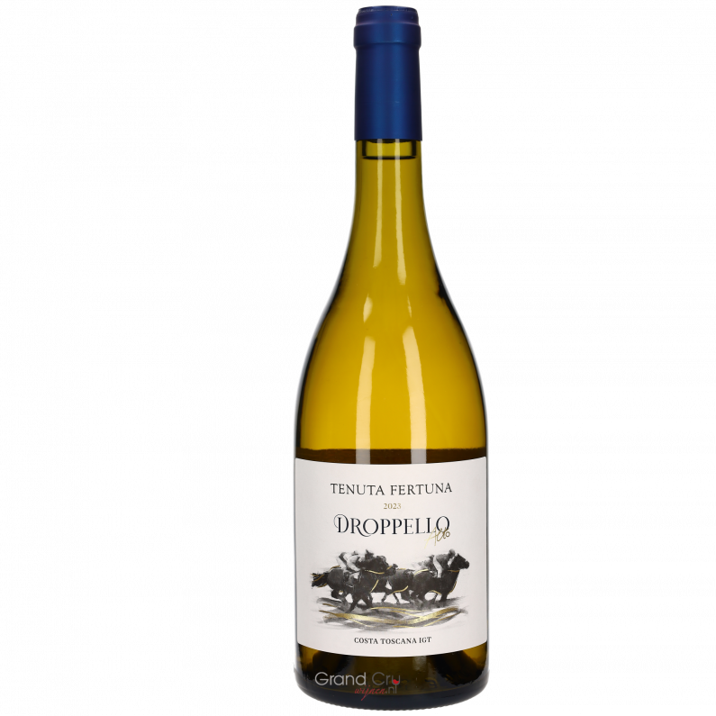 2023 Fertuna Droppello Alta Bianco Costa Toscane