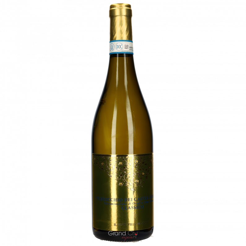 2023 Il Conte Villa Prandone Verdicchio dei Castelli di Jesi DOC