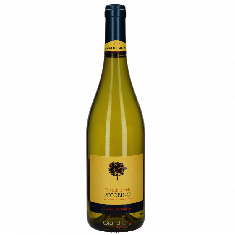2023 Umani Ronchi Pecorino Terre di Chieti 2023 Umani Ronchi Pecorino Terre di Chieti