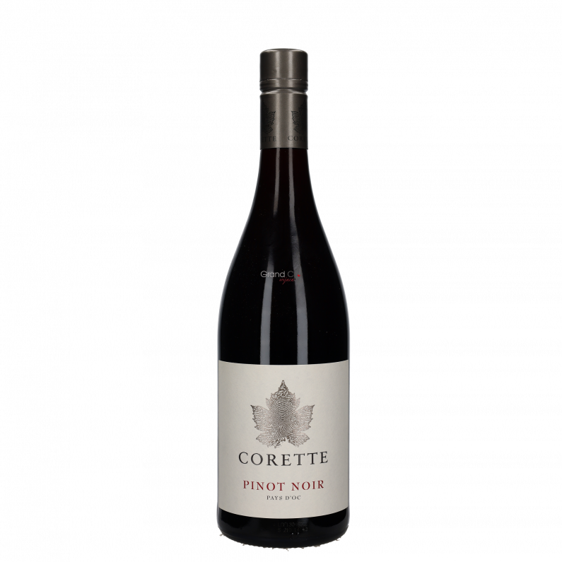 2024 Corette Pinot Noir 2024 Corette Pinot Noir
