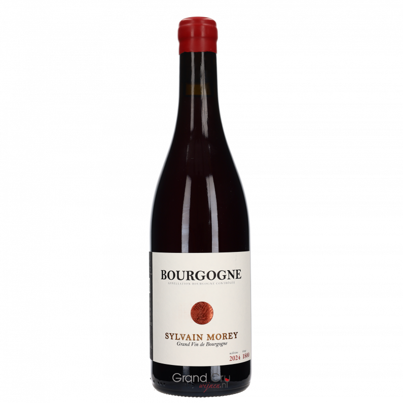 2024 Domaine Sylvain Morey Bourgogne Rouge