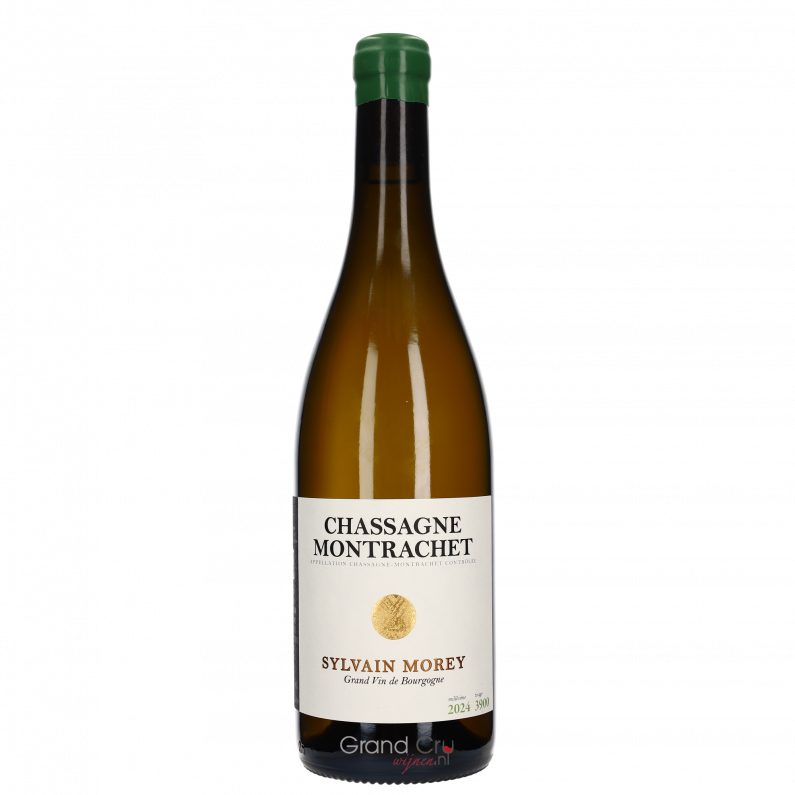 2024 Domaine Sylvain Morey Chassagne-Montrachet Blanc