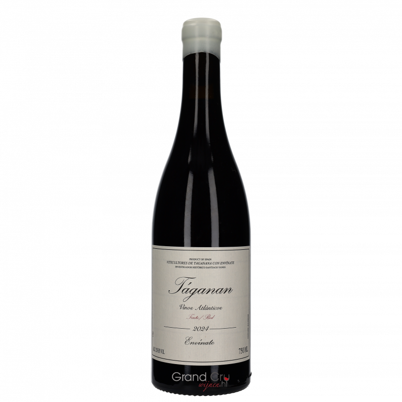 2024 Envinate Taganan Tinto