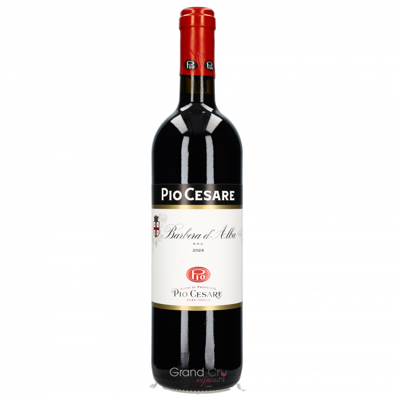 2024 Pio Cesare Barbera d'Alba